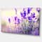 Designart - Purple Lavender Field - Floral Photography Canvas Art Print